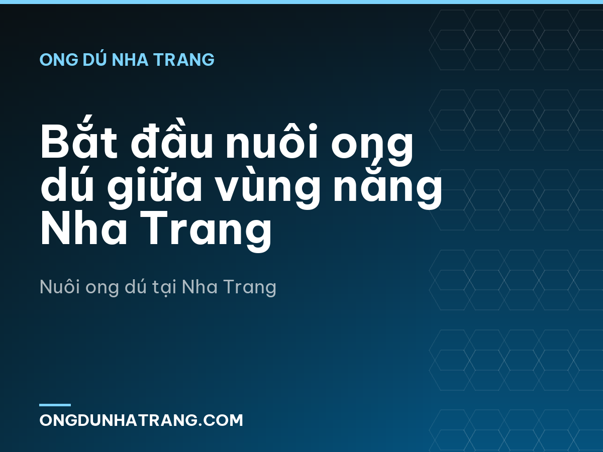 Bắt đầu nuôi ong dú giữa vùng nắng Nha Trang