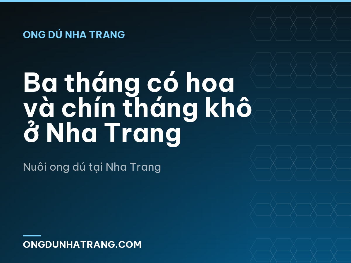Ba tháng có hoa và chín tháng khô ở Nha Trang