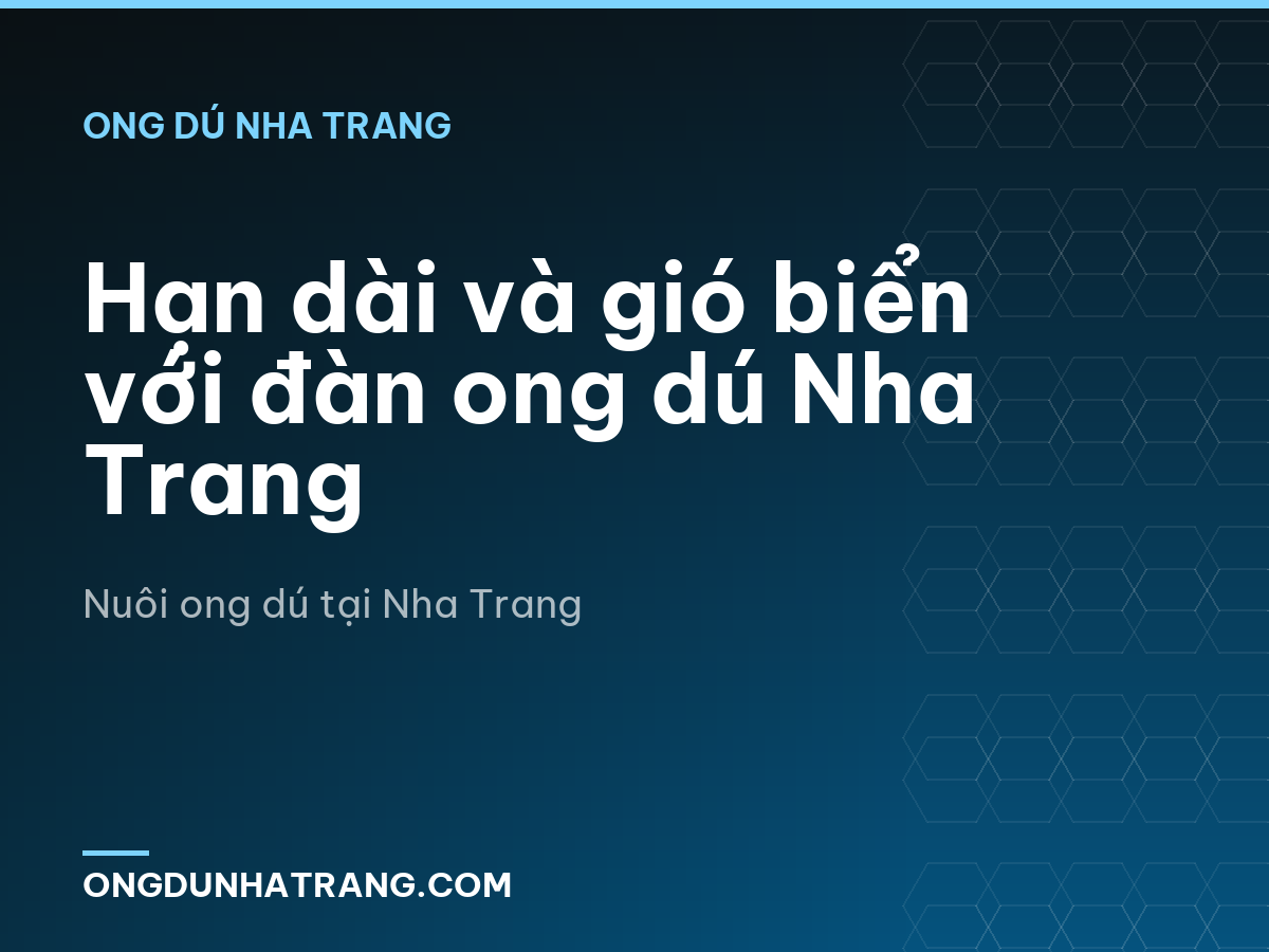 Hạn dài và gió biển với đàn ong dú Nha Trang