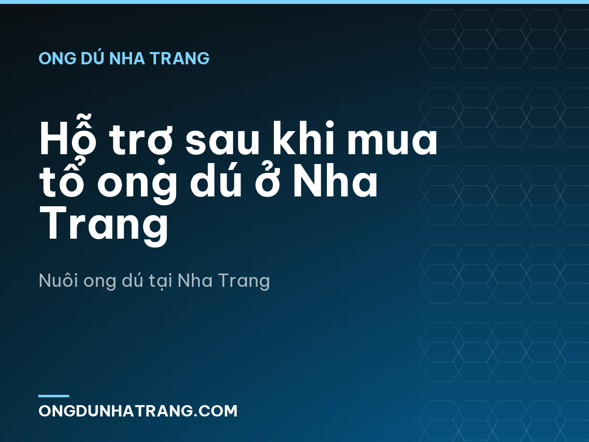 Hỗ trợ sau khi mua tổ ong dú ở Nha Trang