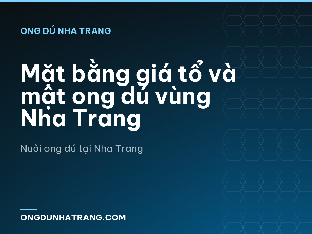 Mặt bằng giá tổ và mật ong dú vùng Nha Trang