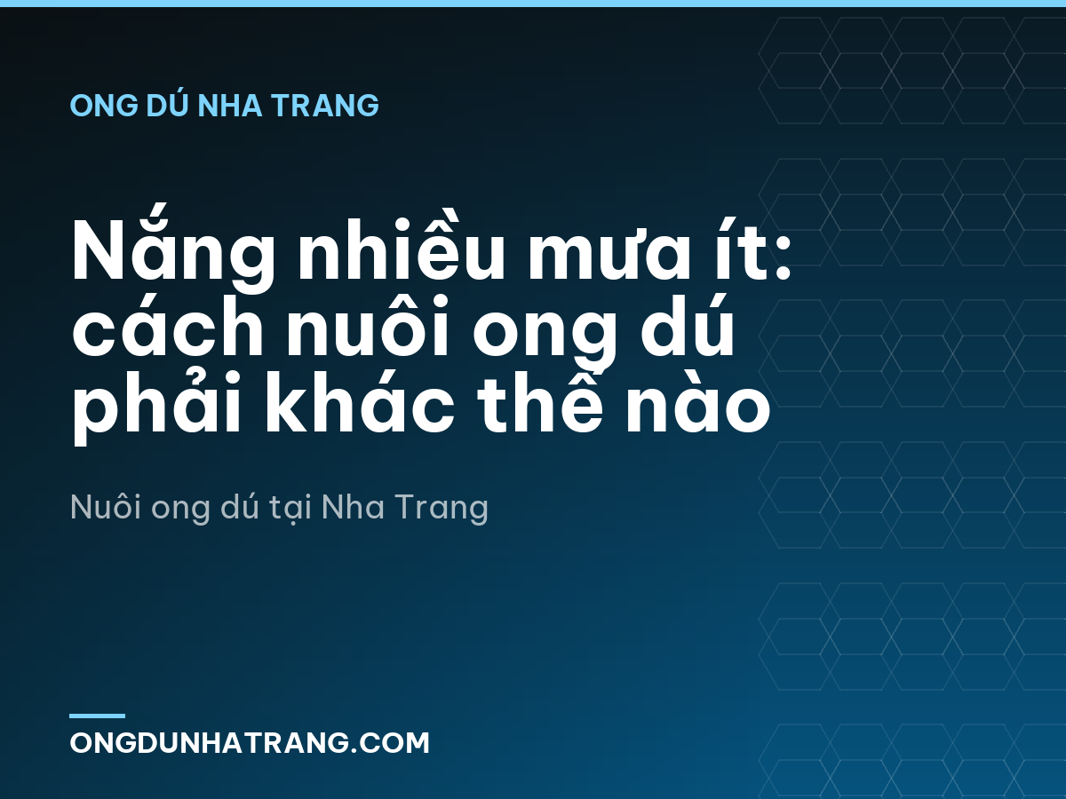 Nắng nhiều mưa ít: cách nuôi ong dú phải khác thế nào