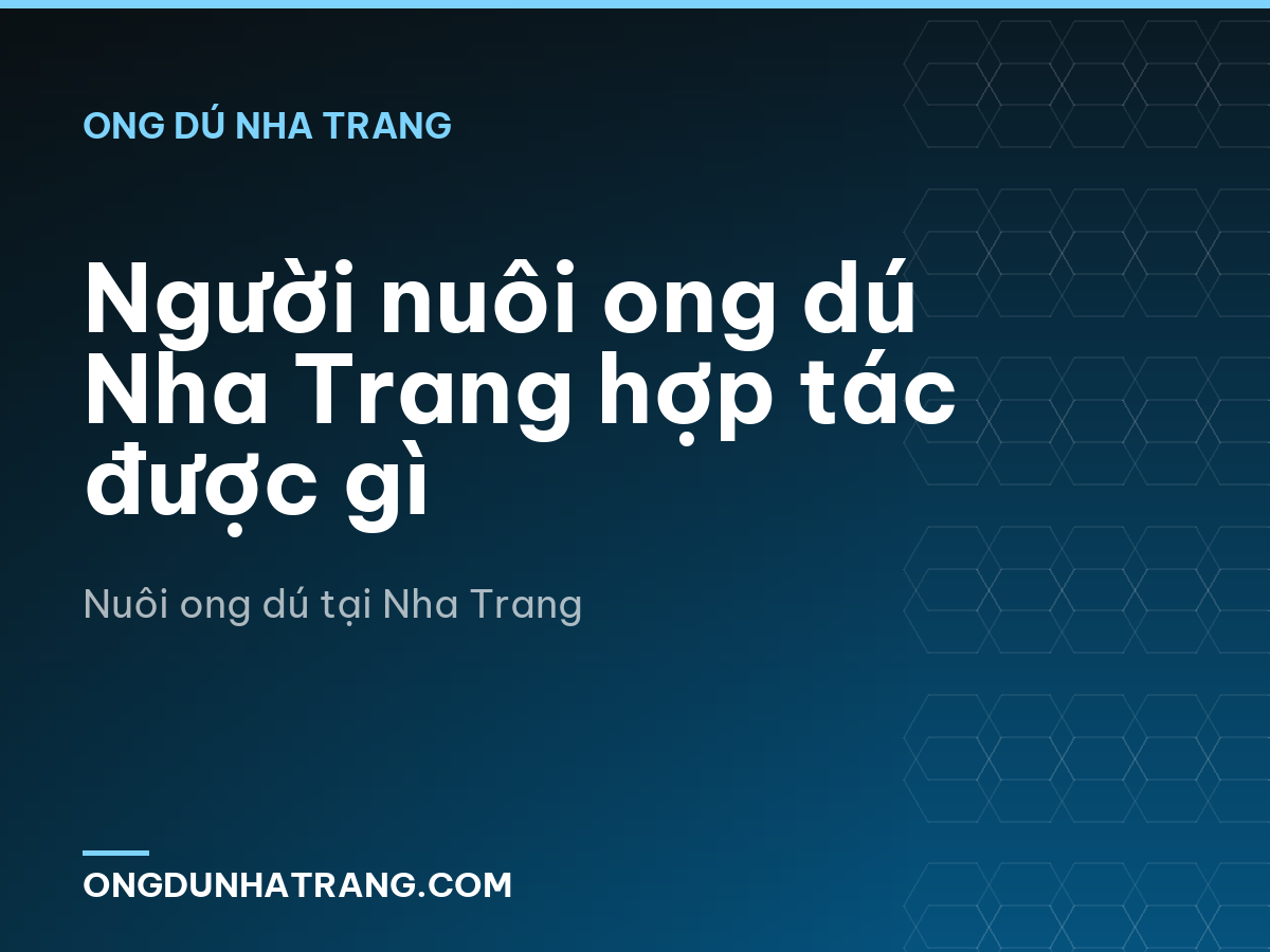 Người nuôi ong dú Nha Trang hợp tác được gì