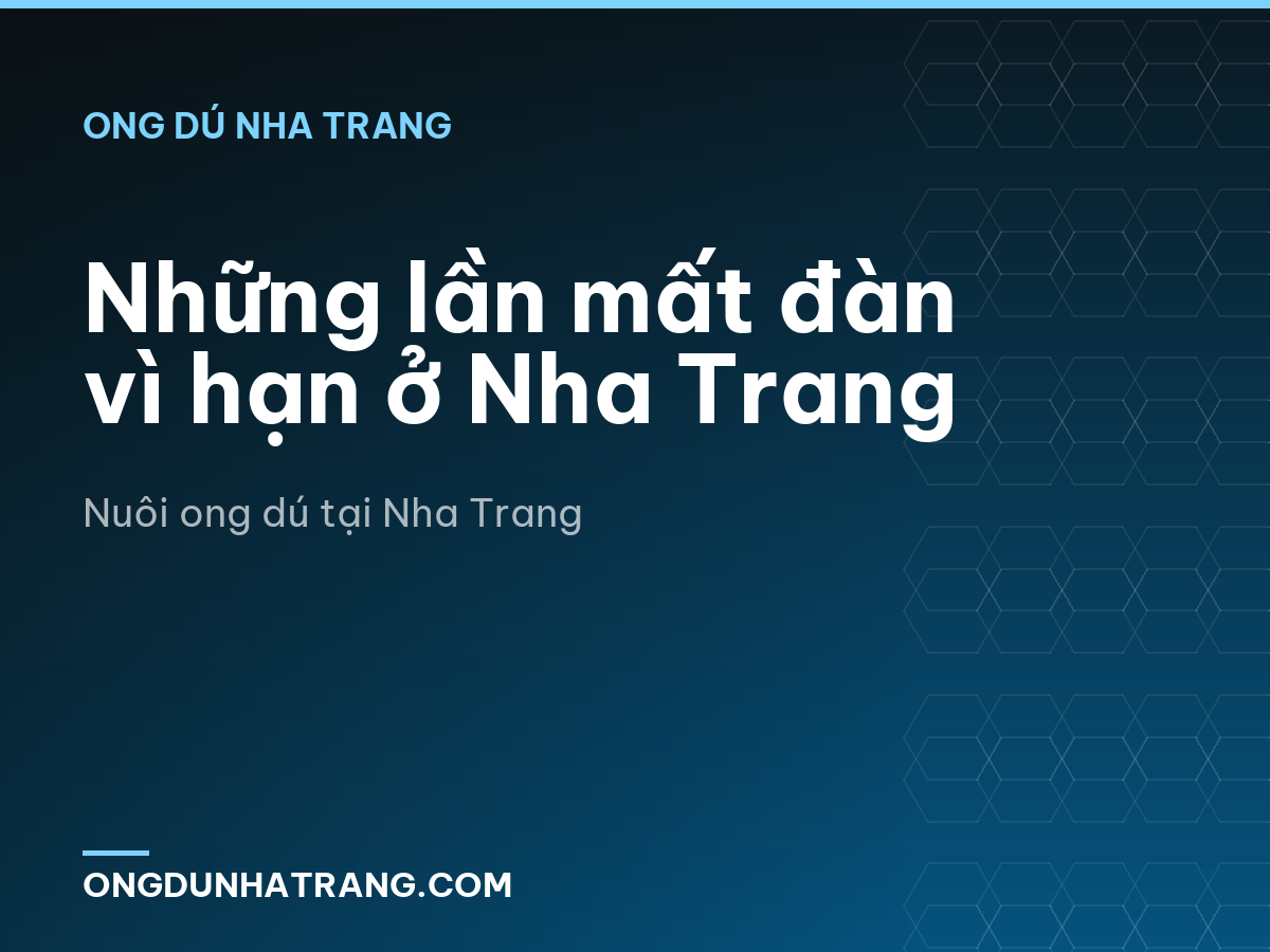Những lần mất đàn vì hạn ở Nha Trang