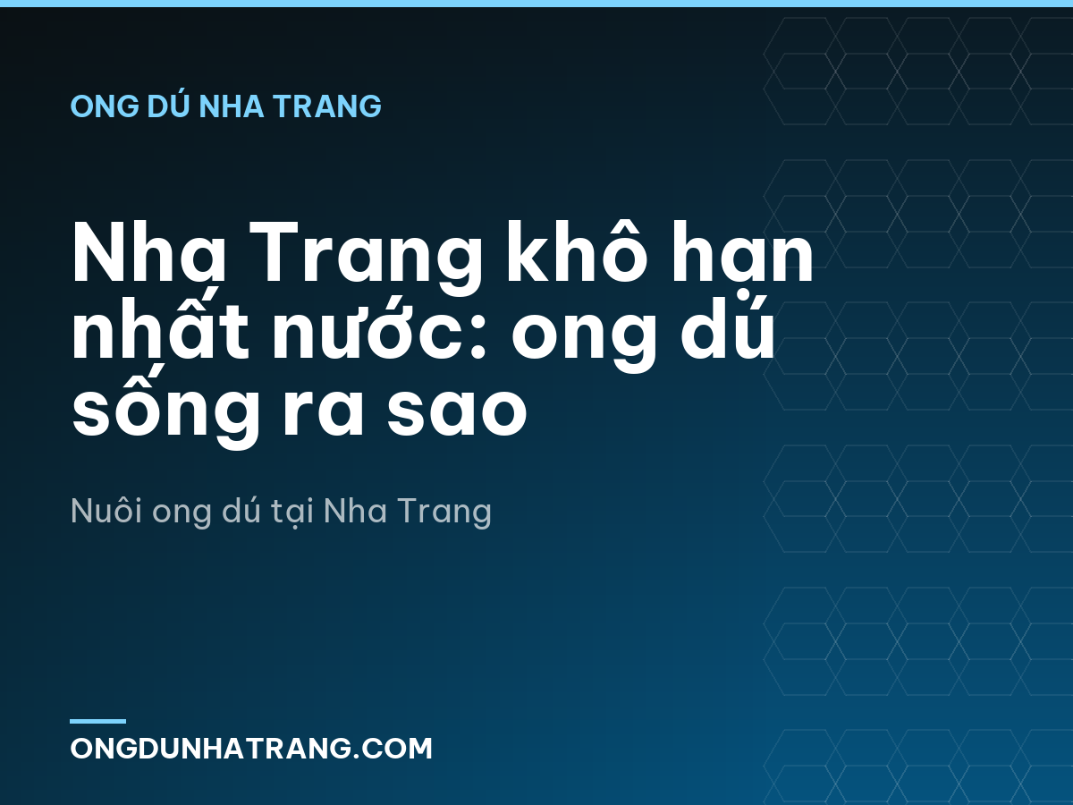 Nha Trang khô hạn nhất nước: ong dú sống ra sao