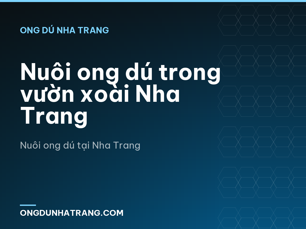 Nuôi ong dú trong vườn xoài Nha Trang
