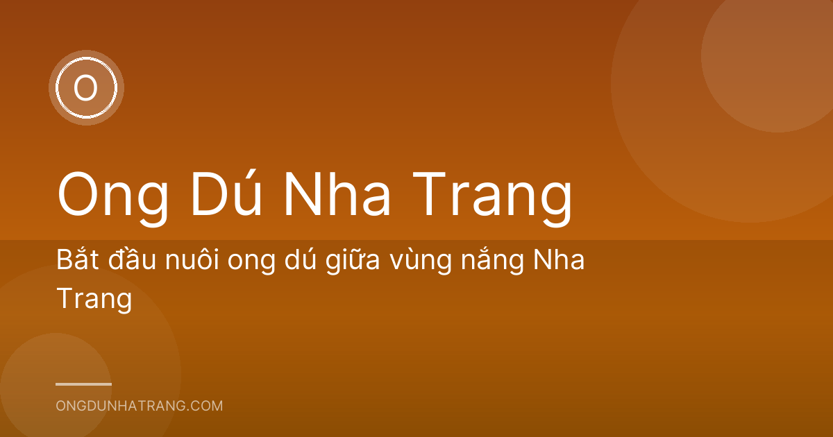 Bắt đầu nuôi ong dú giữa vùng nắng Nha Trang