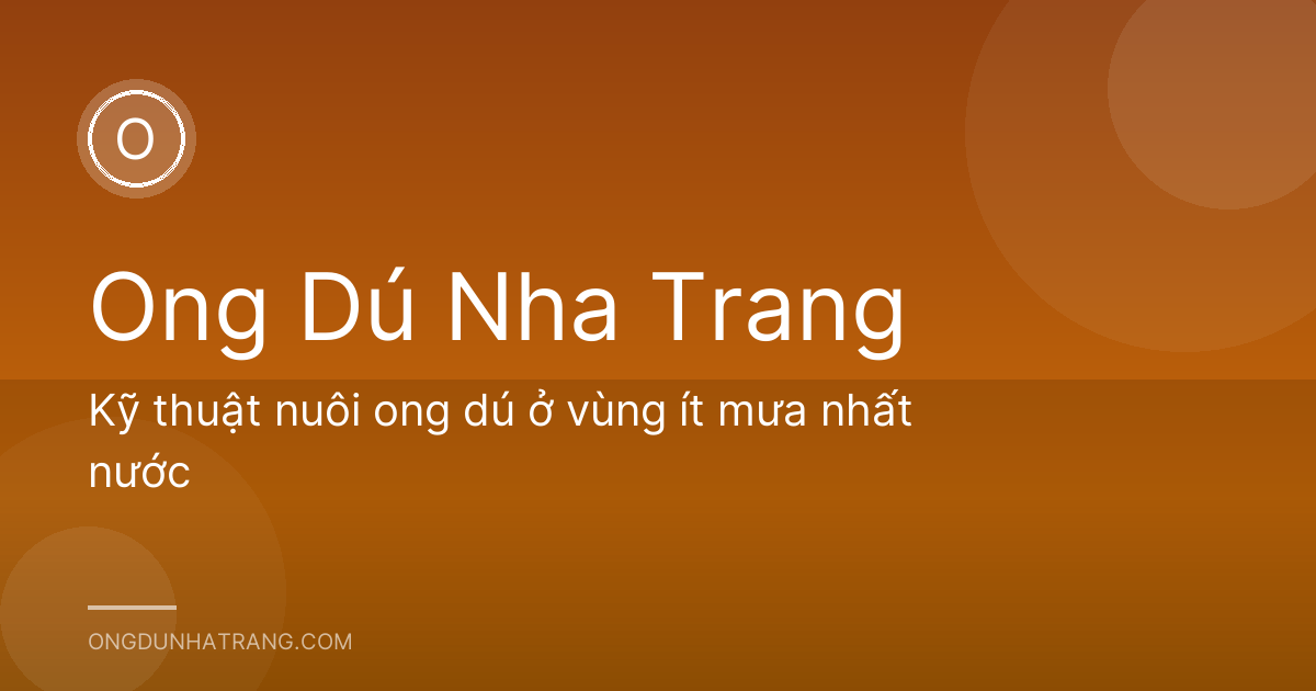 Kỹ thuật nuôi ong dú ở vùng ít mưa nhất nước