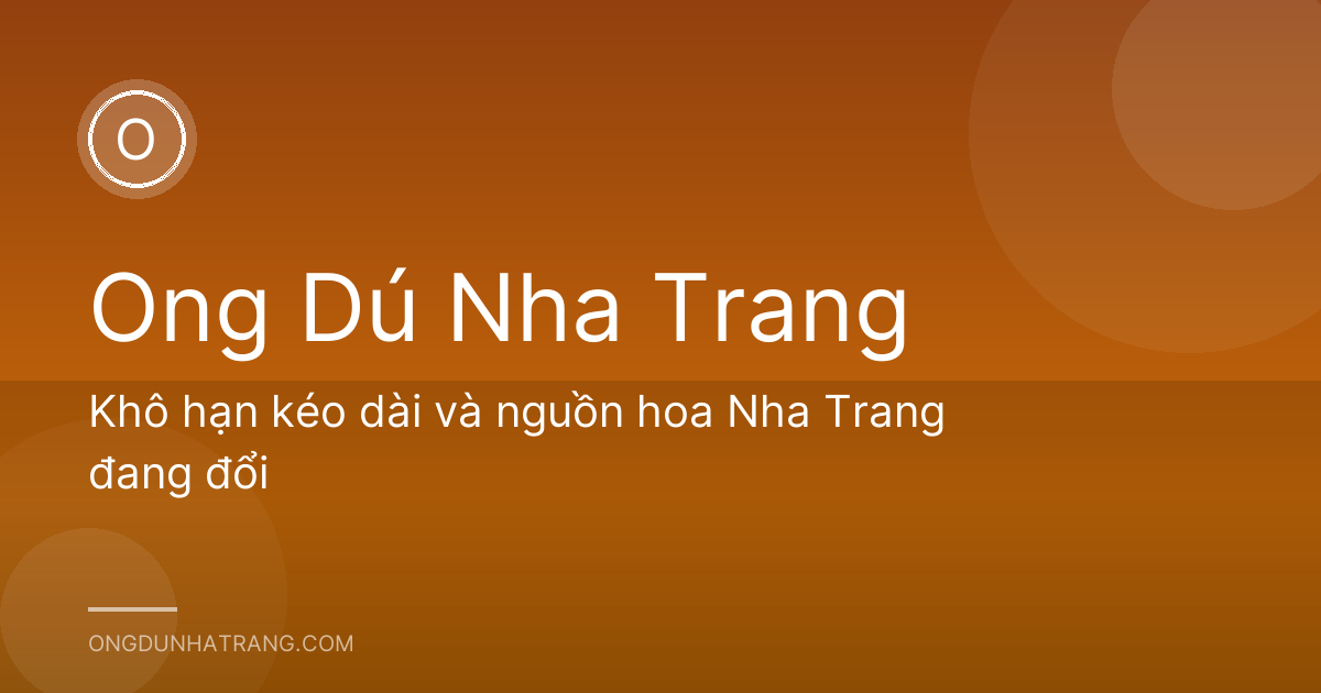 Khô hạn kéo dài và nguồn hoa Nha Trang đang đổi