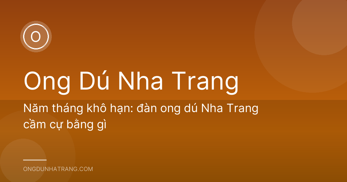 Năm tháng khô hạn: đàn ong dú Nha Trang cầm cự bằng gì