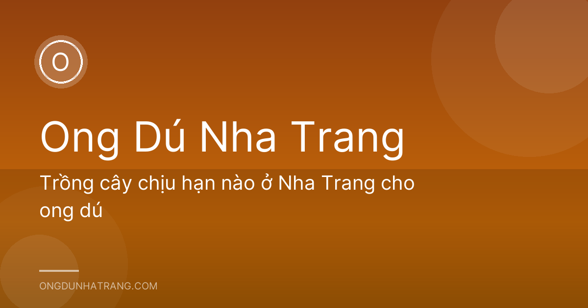 Trồng cây chịu hạn nào ở Nha Trang cho ong dú
