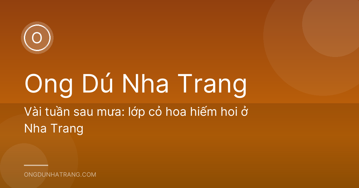 Vài tuần sau mưa: lớp cỏ hoa hiếm hoi ở Nha Trang