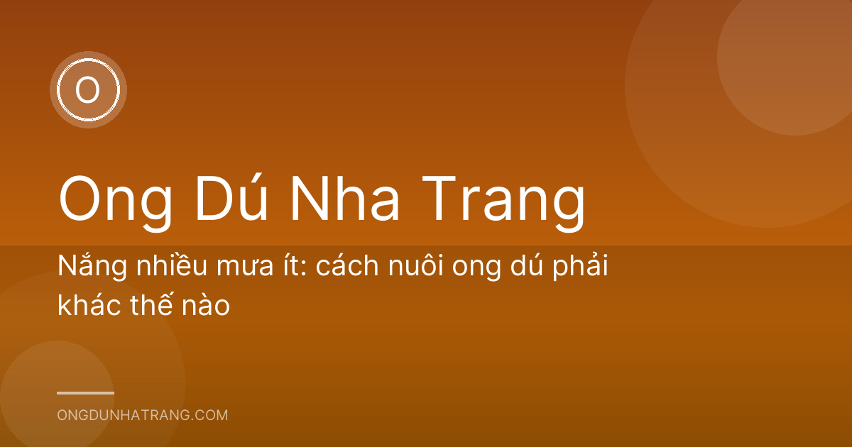 Nắng nhiều mưa ít: cách nuôi ong dú phải khác thế nào