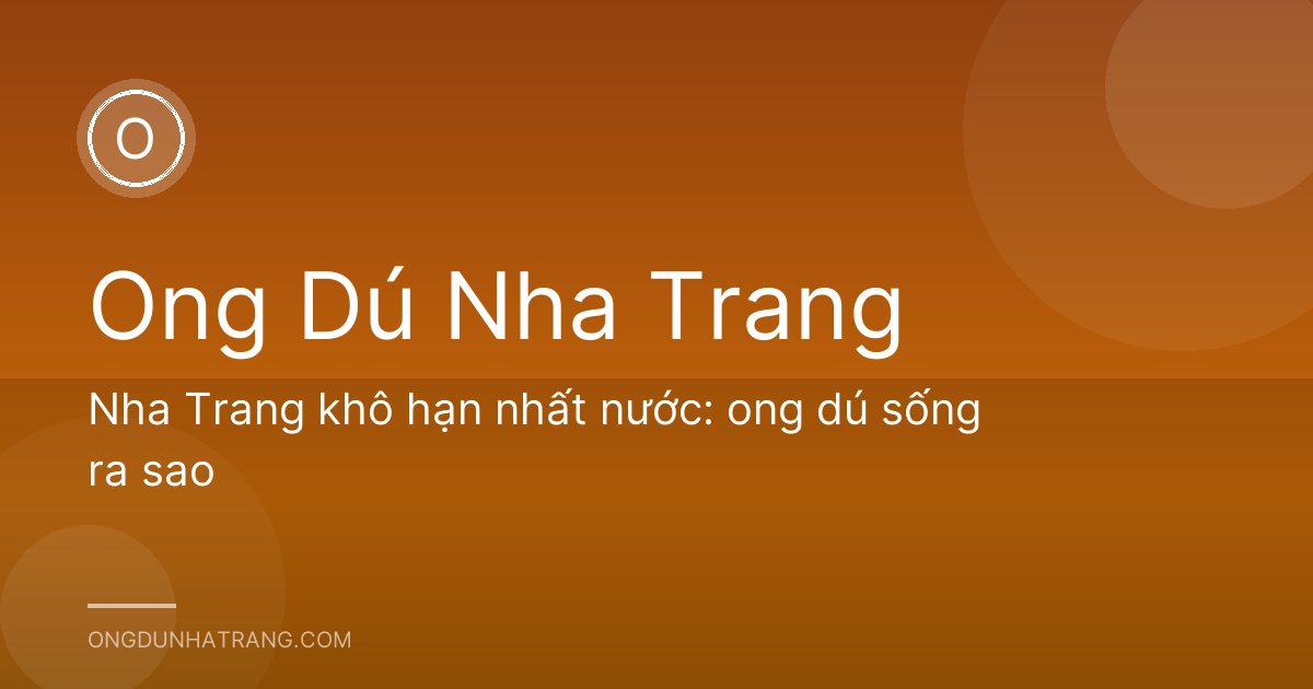 Nha Trang khô hạn nhất nước: ong dú sống ra sao