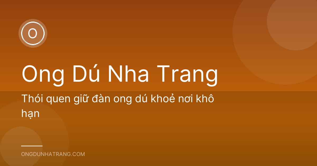 Thói quen giữ đàn ong dú khoẻ nơi khô hạn